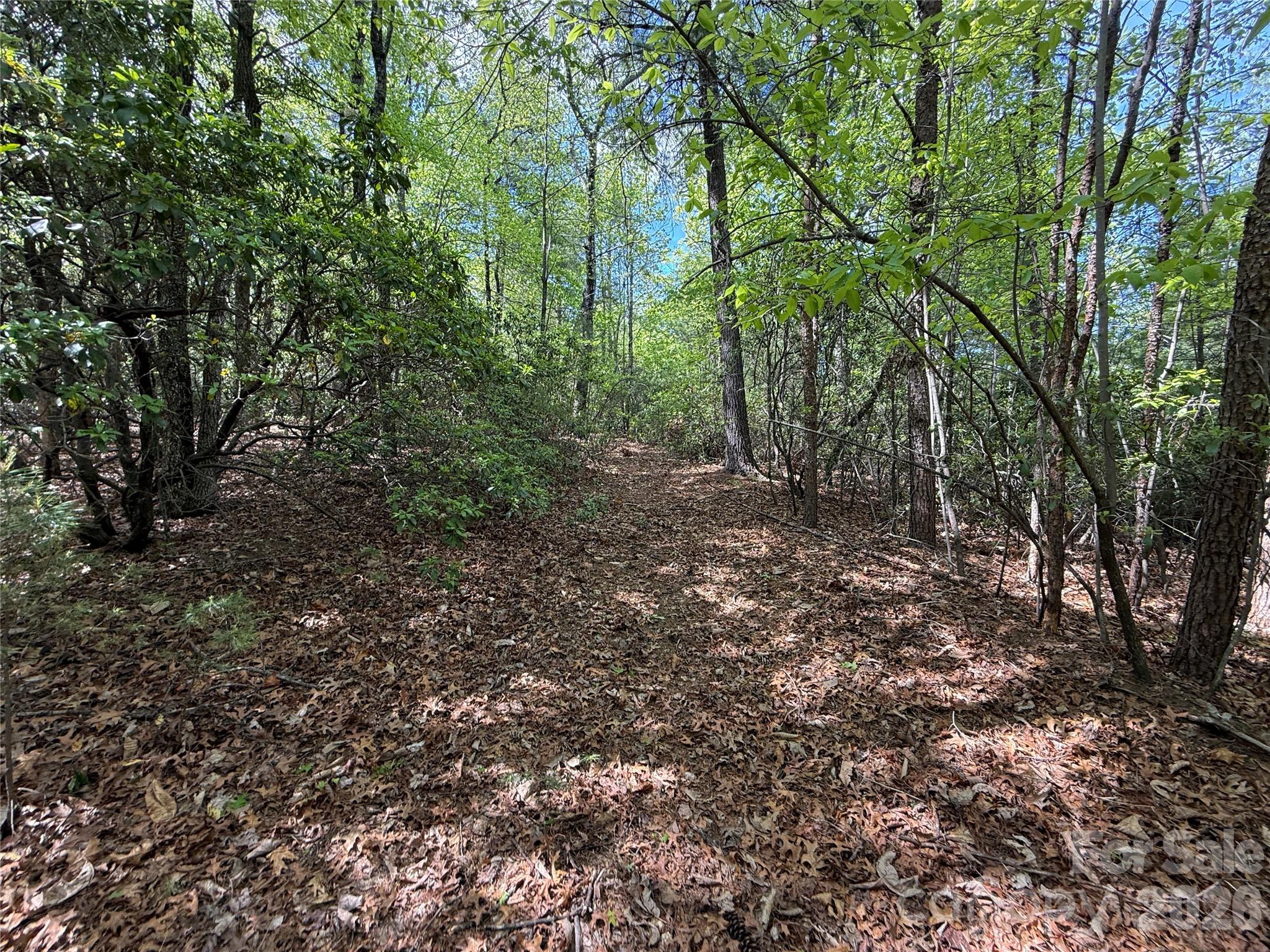 Tbd Staghorn Road Purlear NC 28665