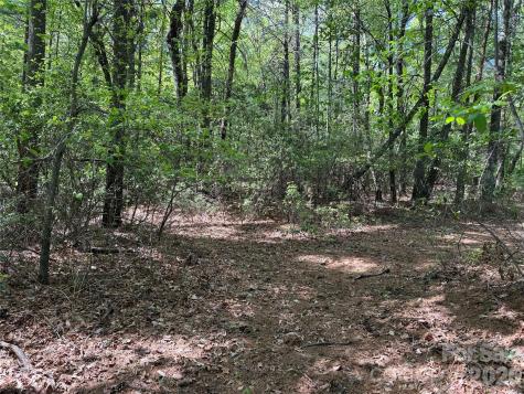 Tbd Staghorn Road Purlear NC 28665