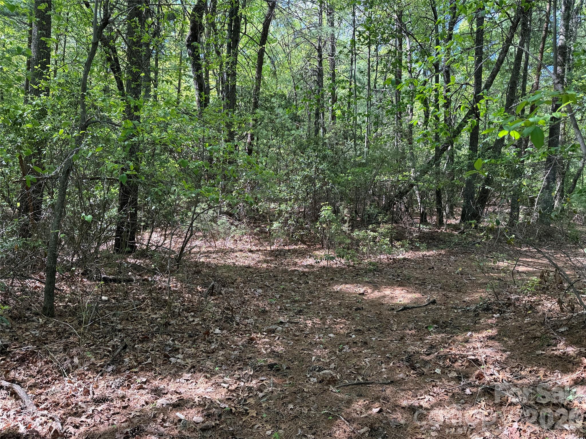 Tbd Staghorn Road Purlear NC 28665