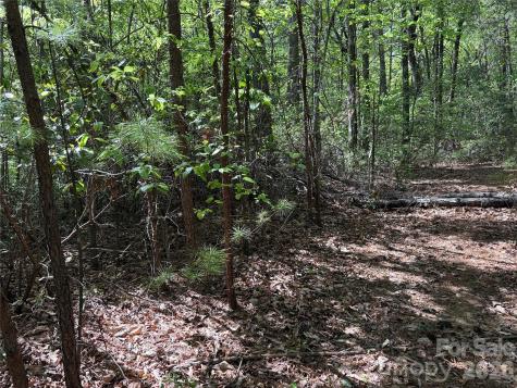 Tbd Staghorn Road Purlear NC 28665