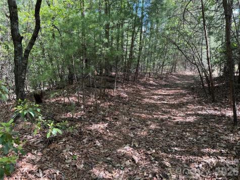 Tbd Staghorn Road Purlear NC 28665