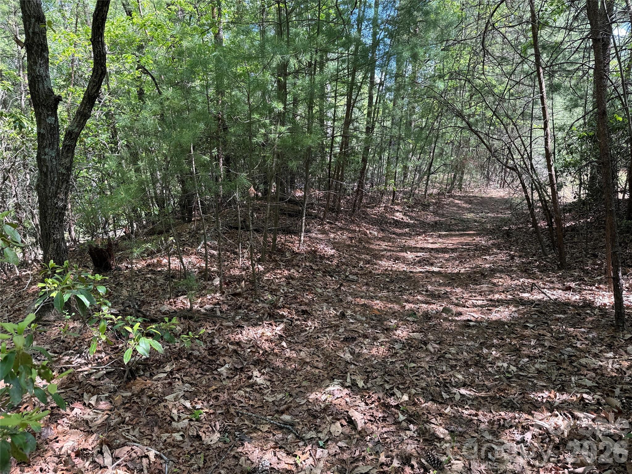 Tbd Staghorn Road Purlear NC 28665