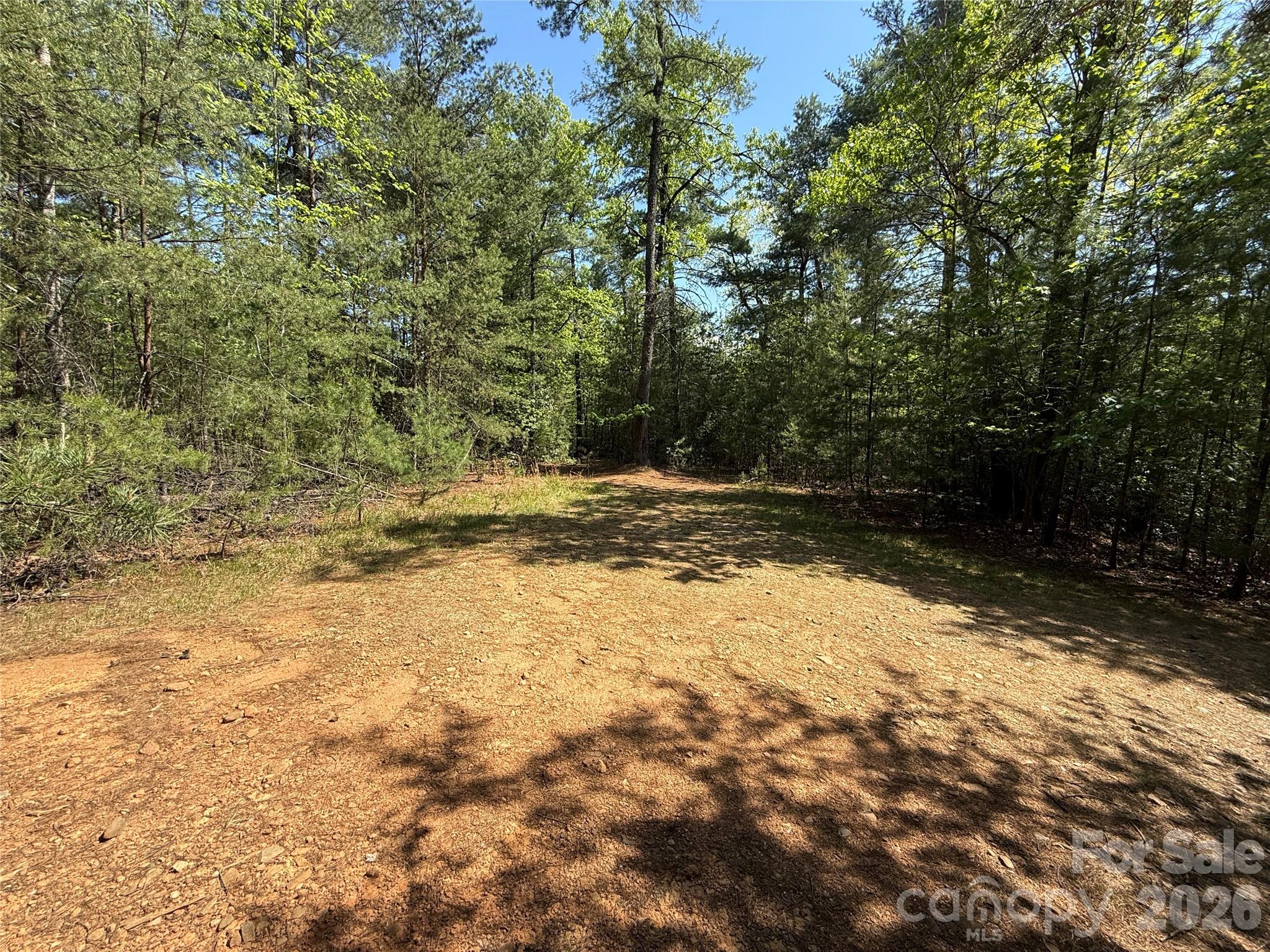 Tbd Staghorn Road Purlear NC 28665