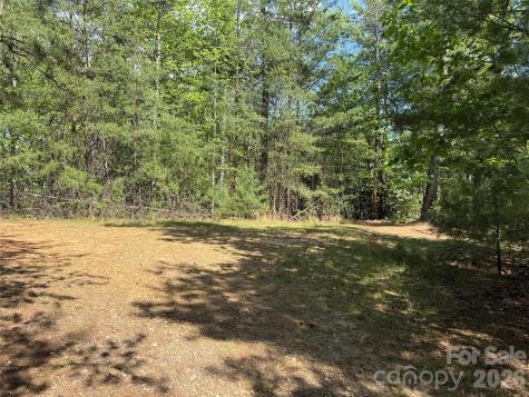 Tbd Staghorn Road Purlear NC 28665