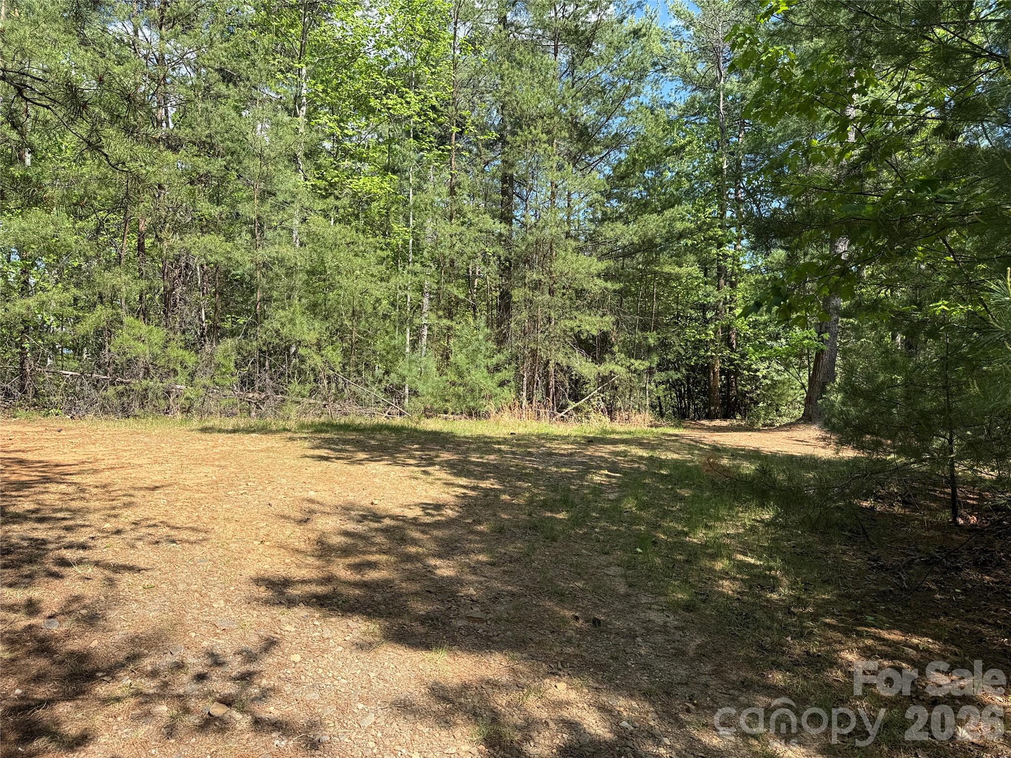 Tbd Staghorn Road Purlear NC 28665