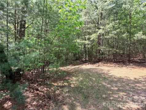 Tbd Staghorn Road Purlear NC 28665