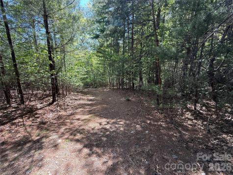 Tbd Staghorn Road Purlear NC 28665