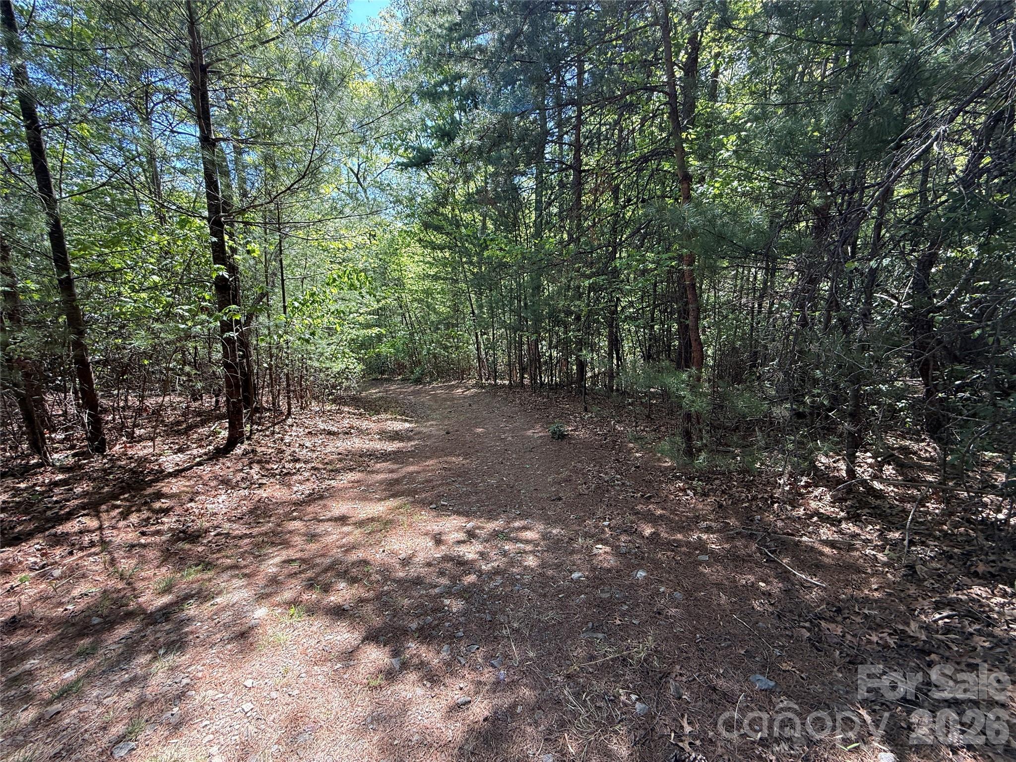 Tbd Staghorn Road Purlear NC 28665