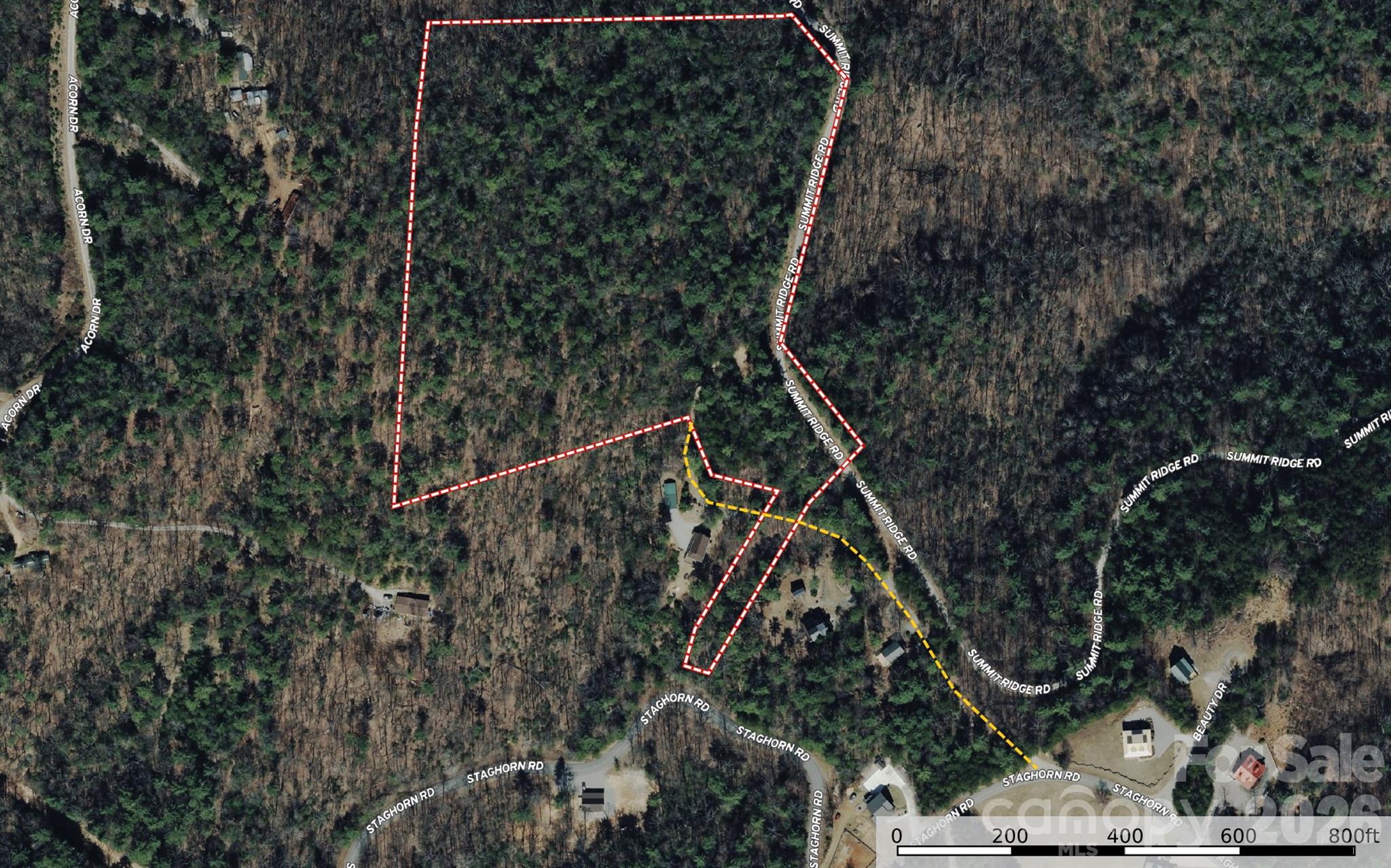 Tbd Staghorn Road Purlear NC 28665