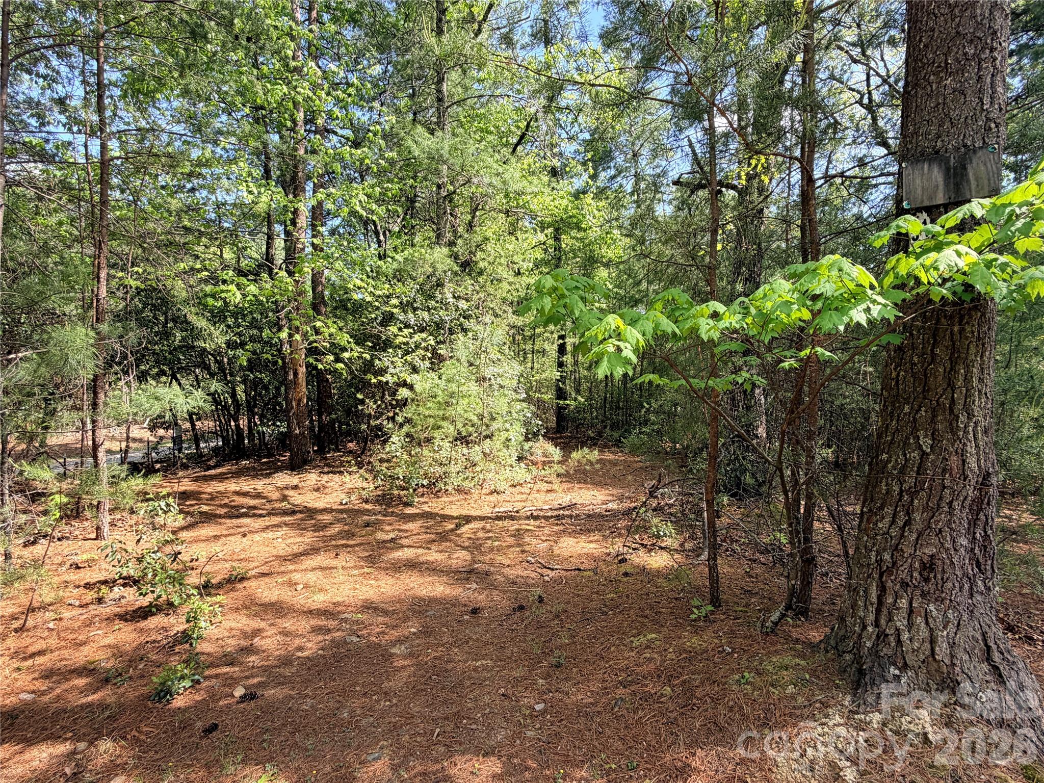 Tbd Staghorn Road Purlear NC 28665