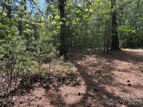 Tbd Staghorn Road Purlear NC 28665