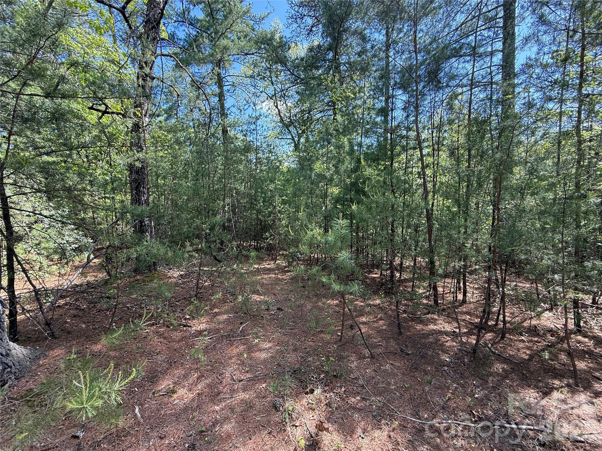 Tbd Staghorn Road Purlear NC 28665