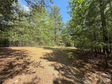 Tbd Staghorn Road Purlear NC 28665