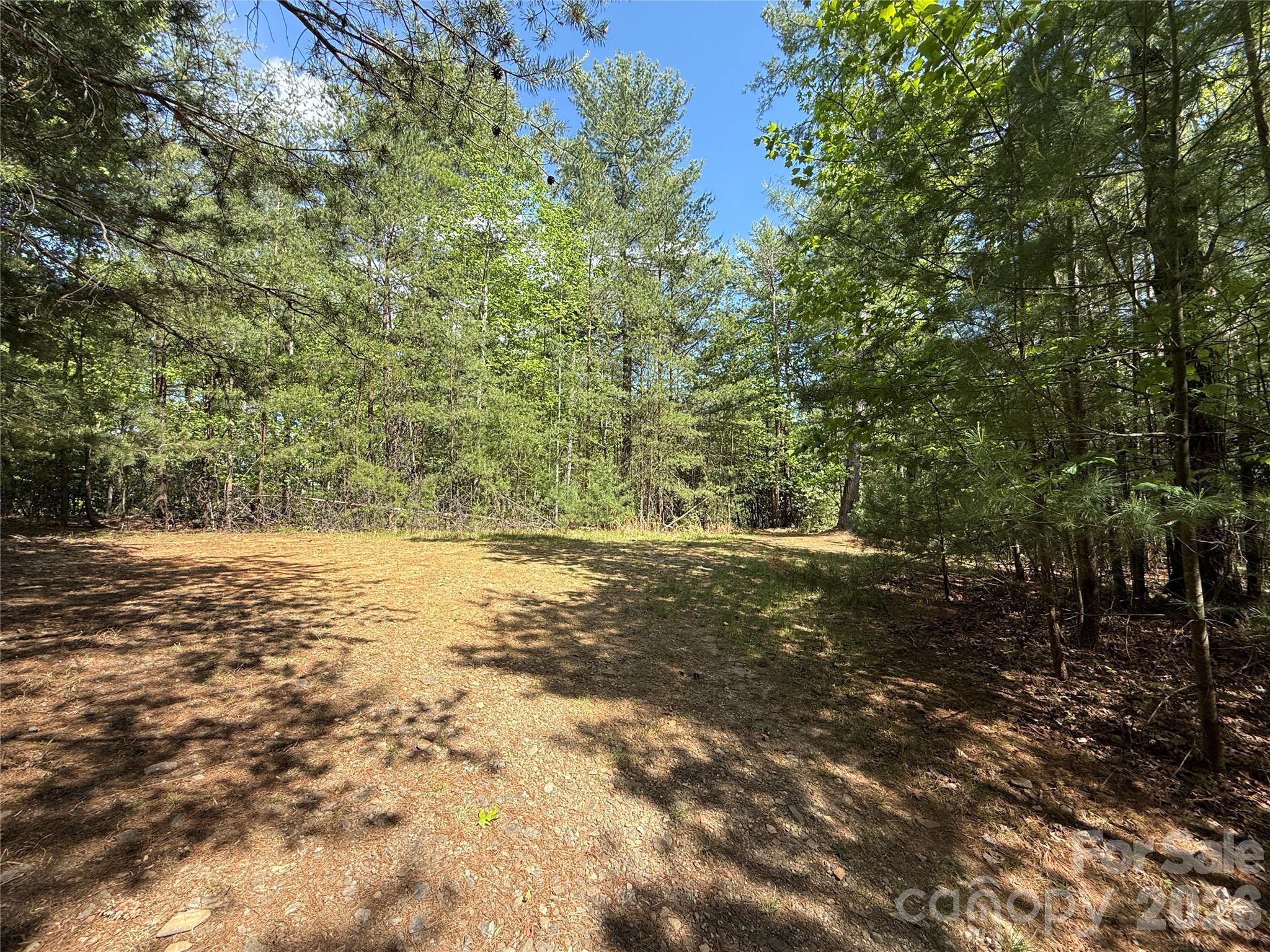 Tbd Staghorn Road Purlear NC 28665