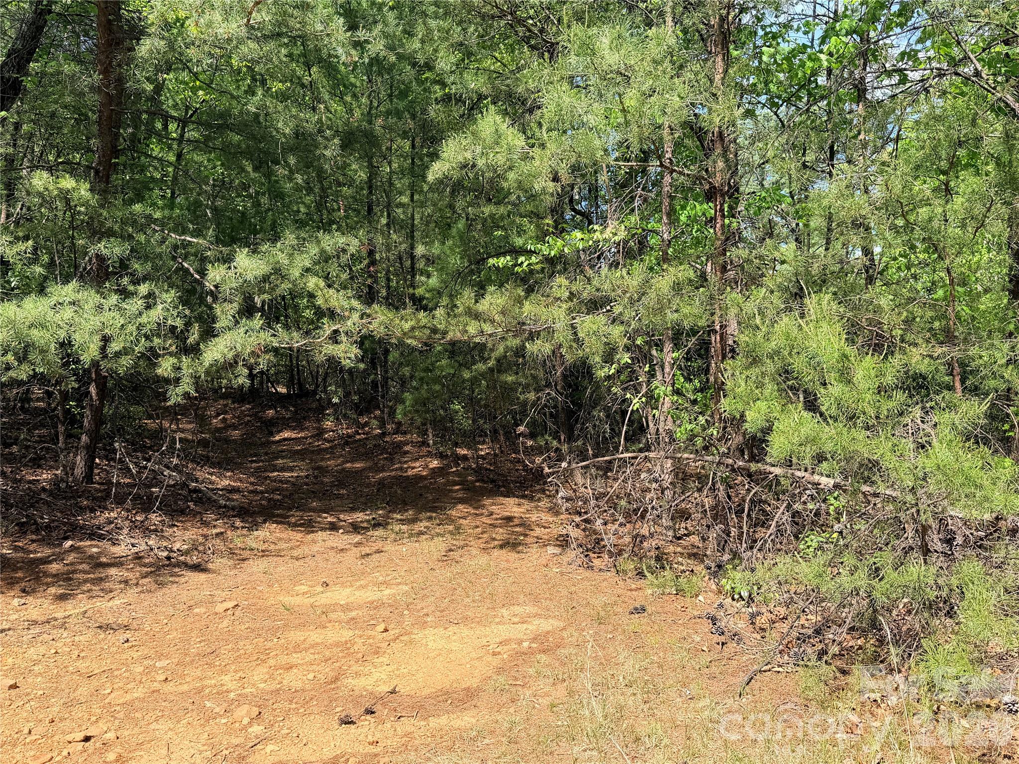 Tbd Staghorn Road Purlear NC 28665