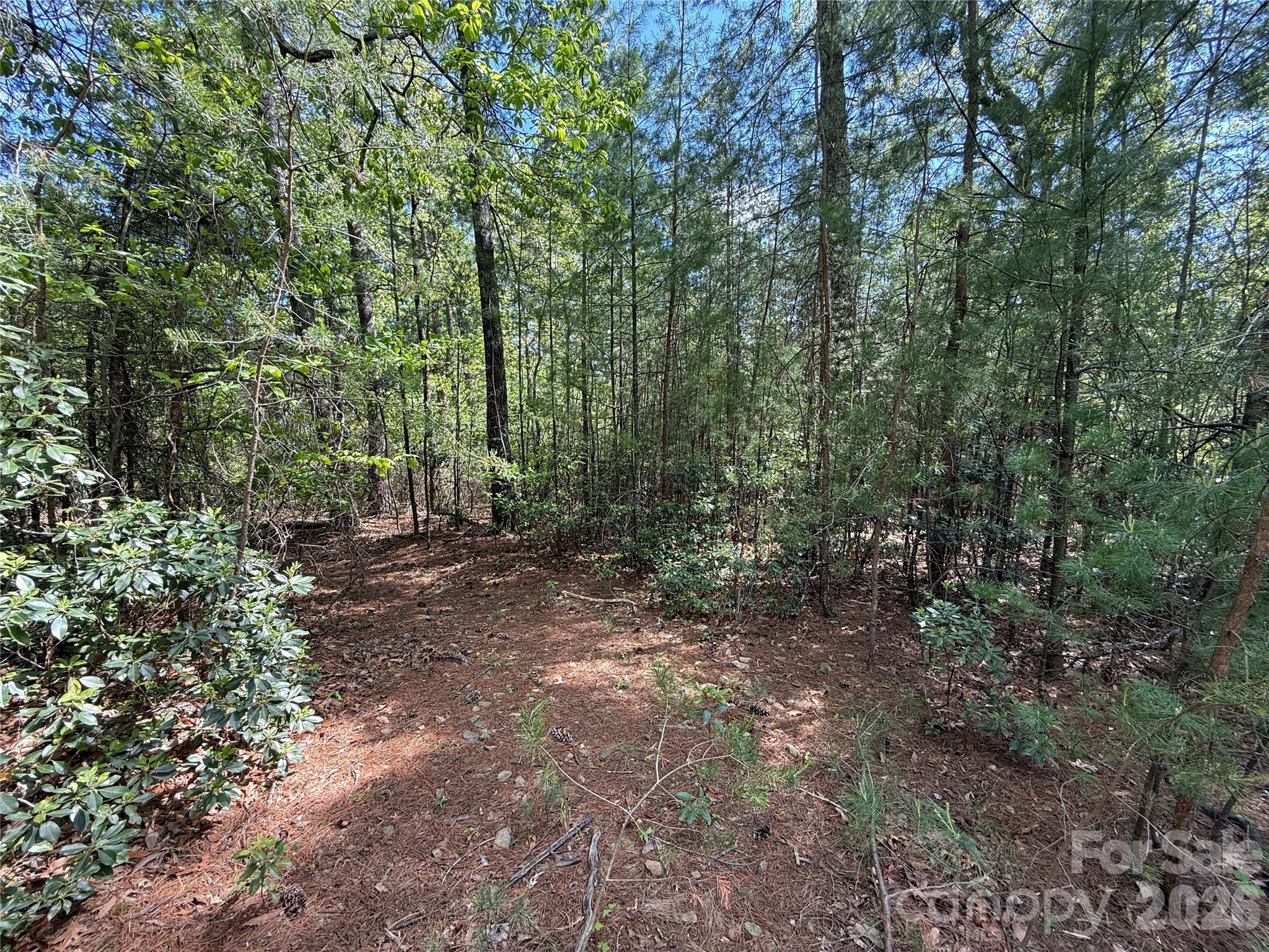Tbd Staghorn Road Purlear NC 28665