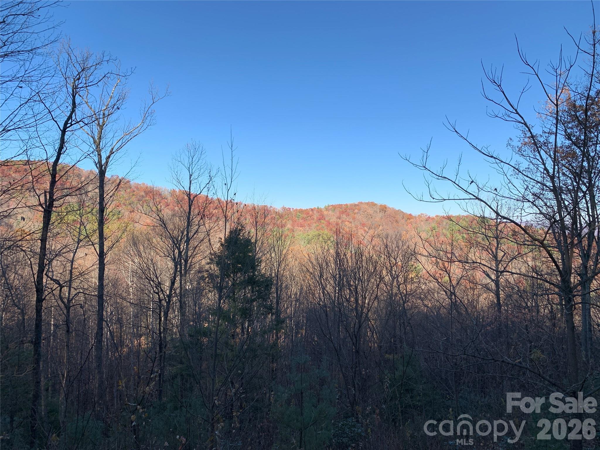 Tbd (Lot 19) Wolf Den Lane Lenoir NC 28645