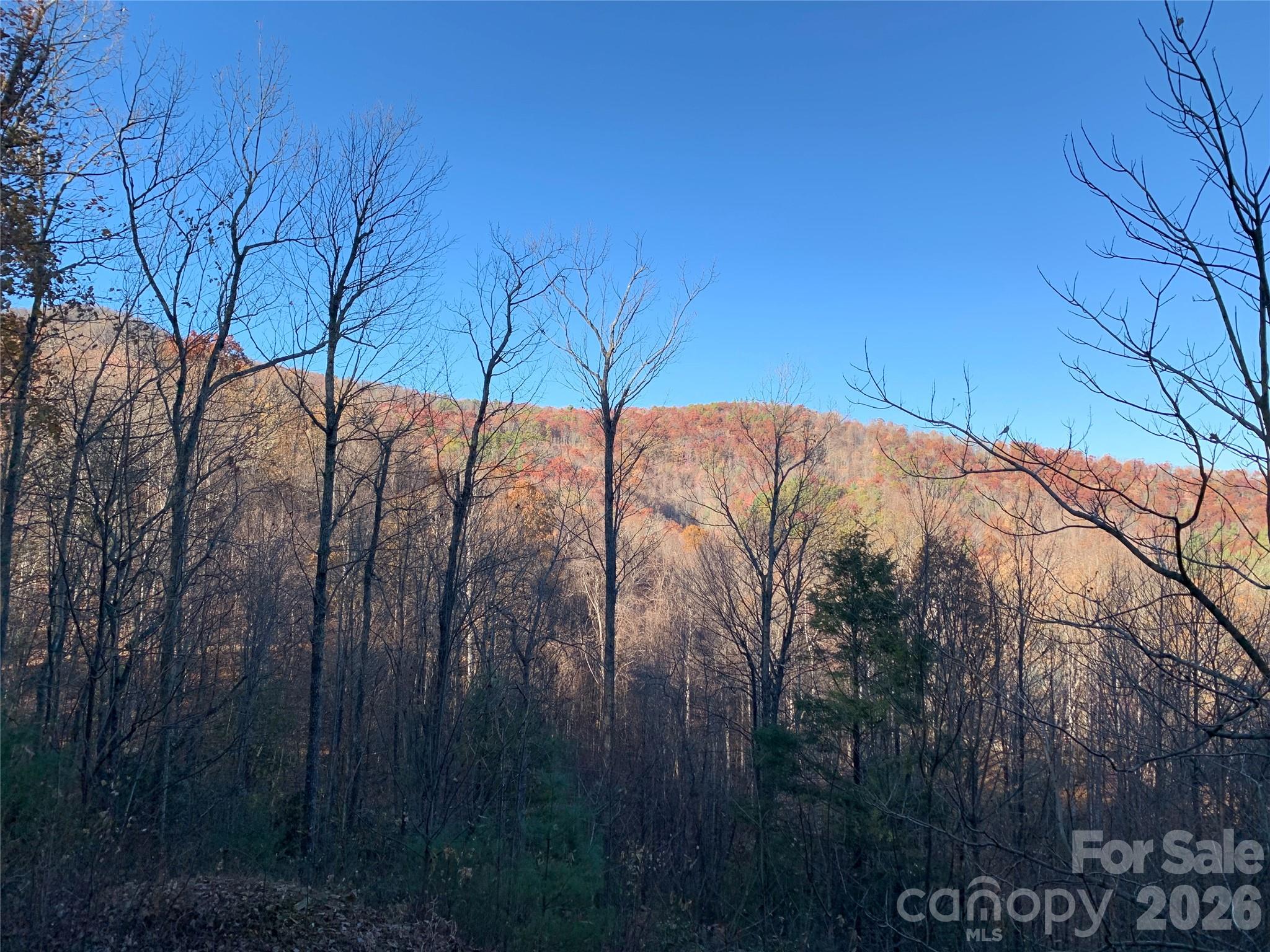 Tbd (Lot 19) Wolf Den Lane Lenoir NC 28645