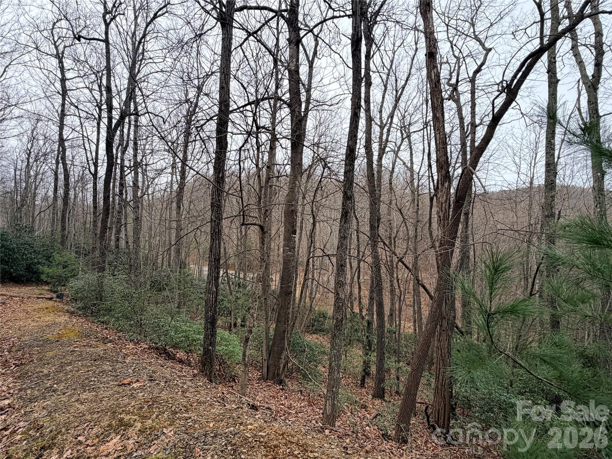 Tbd (Lot 19) Wolf Den Lane Lenoir NC 28645