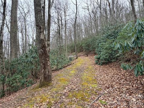 Tbd (Lot 19) Wolf Den Lane Lenoir NC 28645