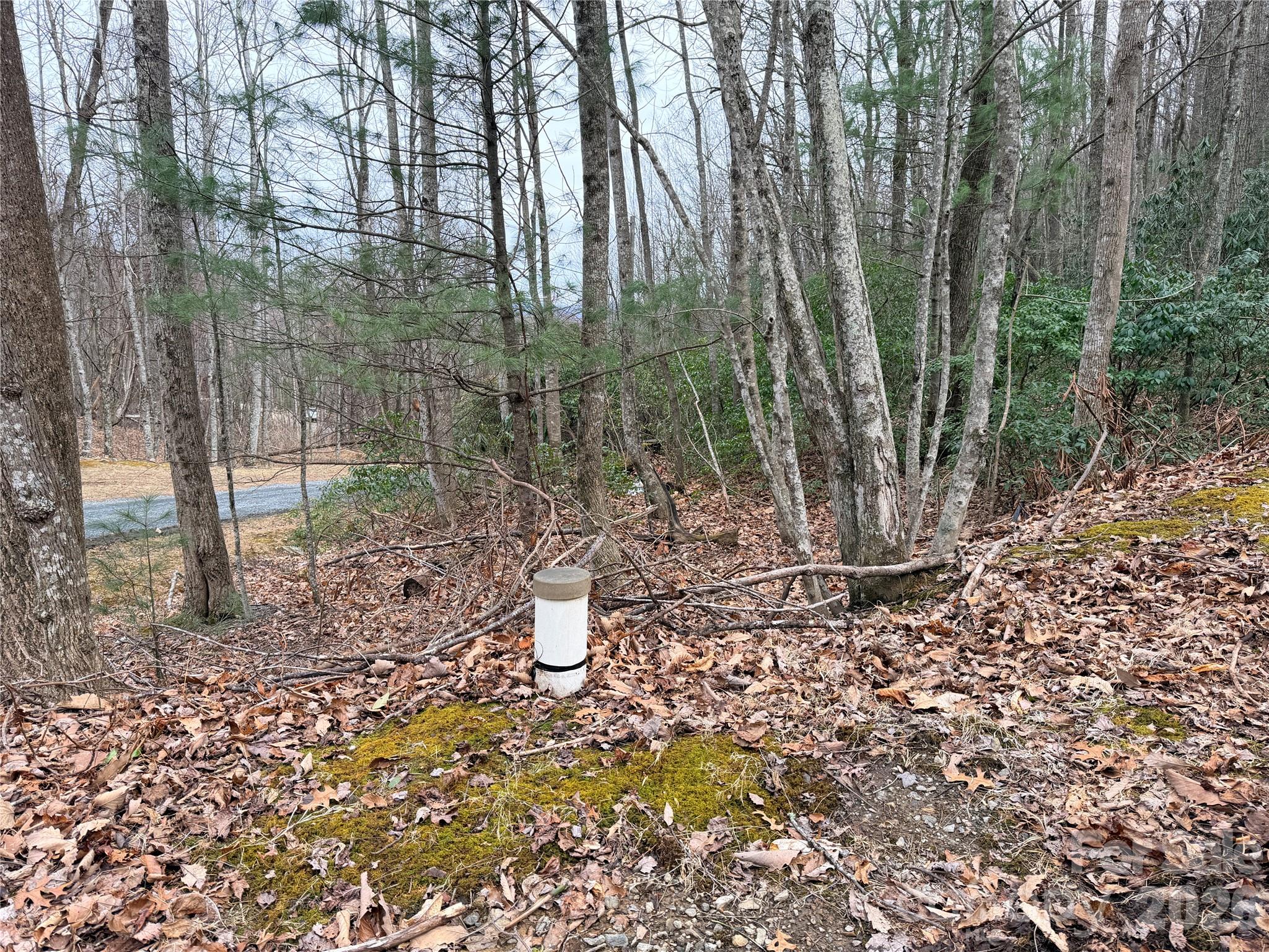 Tbd (Lot 19) Wolf Den Lane Lenoir NC 28645