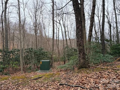Tbd (Lot 19) Wolf Den Lane Lenoir NC 28645