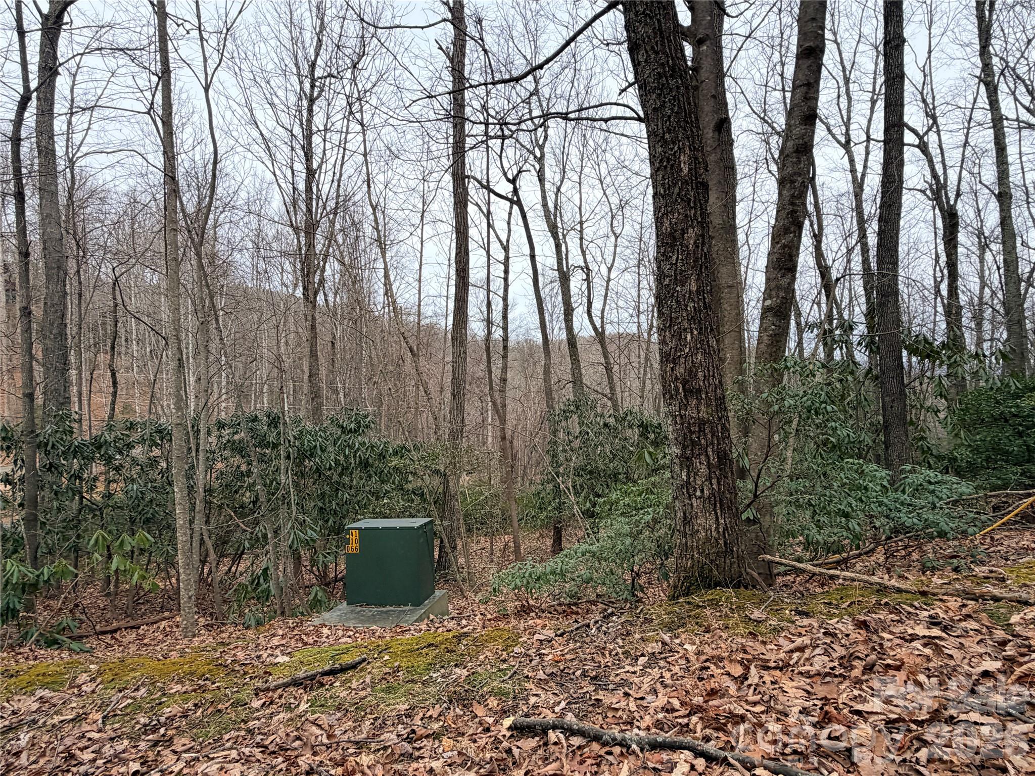 Tbd (Lot 19) Wolf Den Lane Lenoir NC 28645