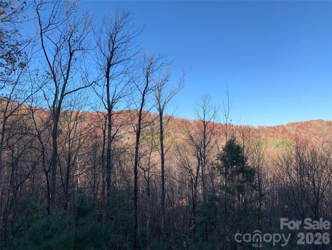 Tbd (Lot 19) Wolf Den Lane Lenoir NC 28645