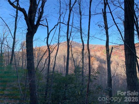 Tbd (Lot 19) Wolf Den Lane Lenoir NC 28645