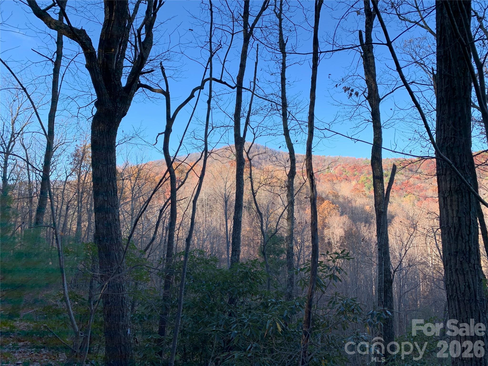 Tbd (Lot 19) Wolf Den Lane Lenoir NC 28645
