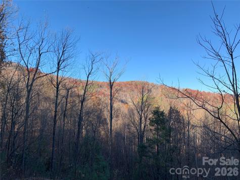 Tbd (Lot 19) Wolf Den Lane Lenoir NC 28645