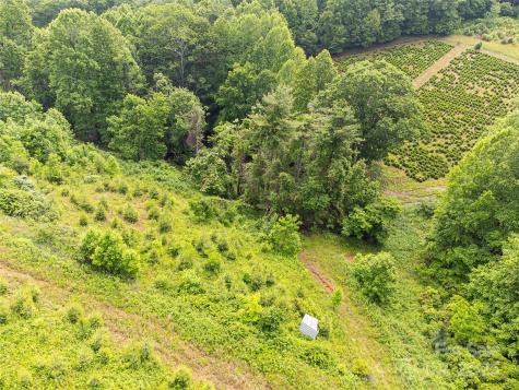 Tbd Finch Lane Burnsville NC 28714