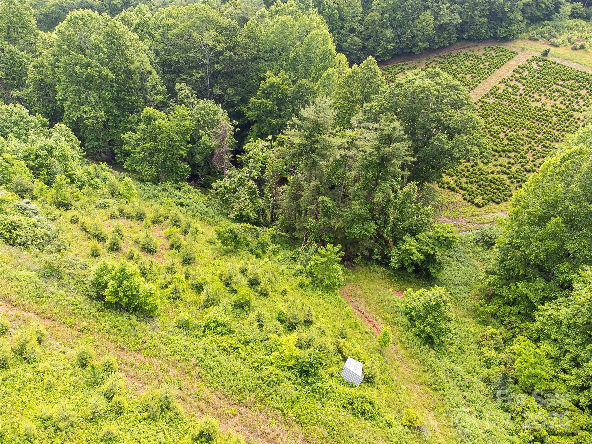 Tbd Finch Lane Burnsville NC 28714