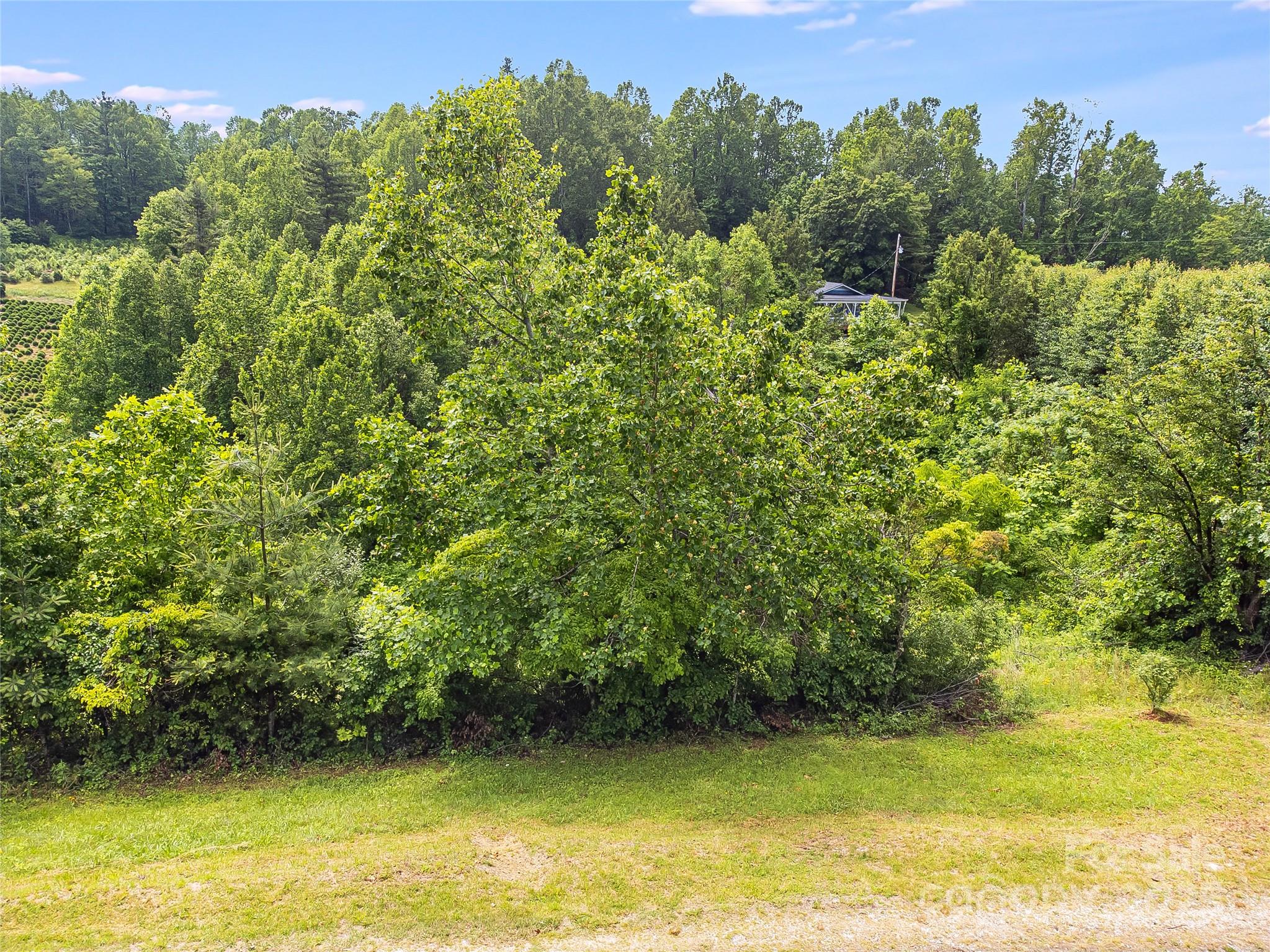 Tbd Finch Lane Burnsville NC 28714