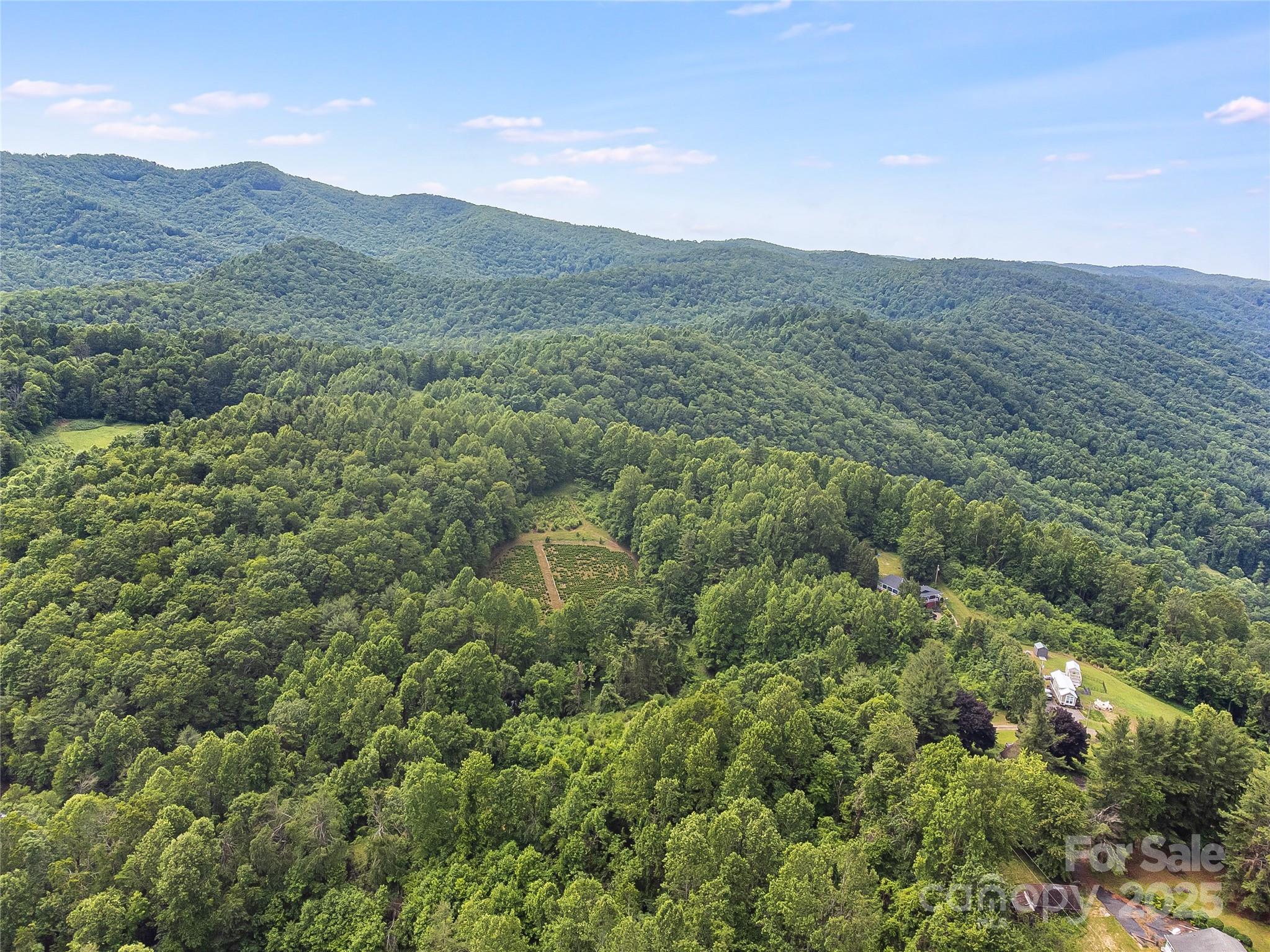 Tbd Finch Lane Burnsville NC 28714