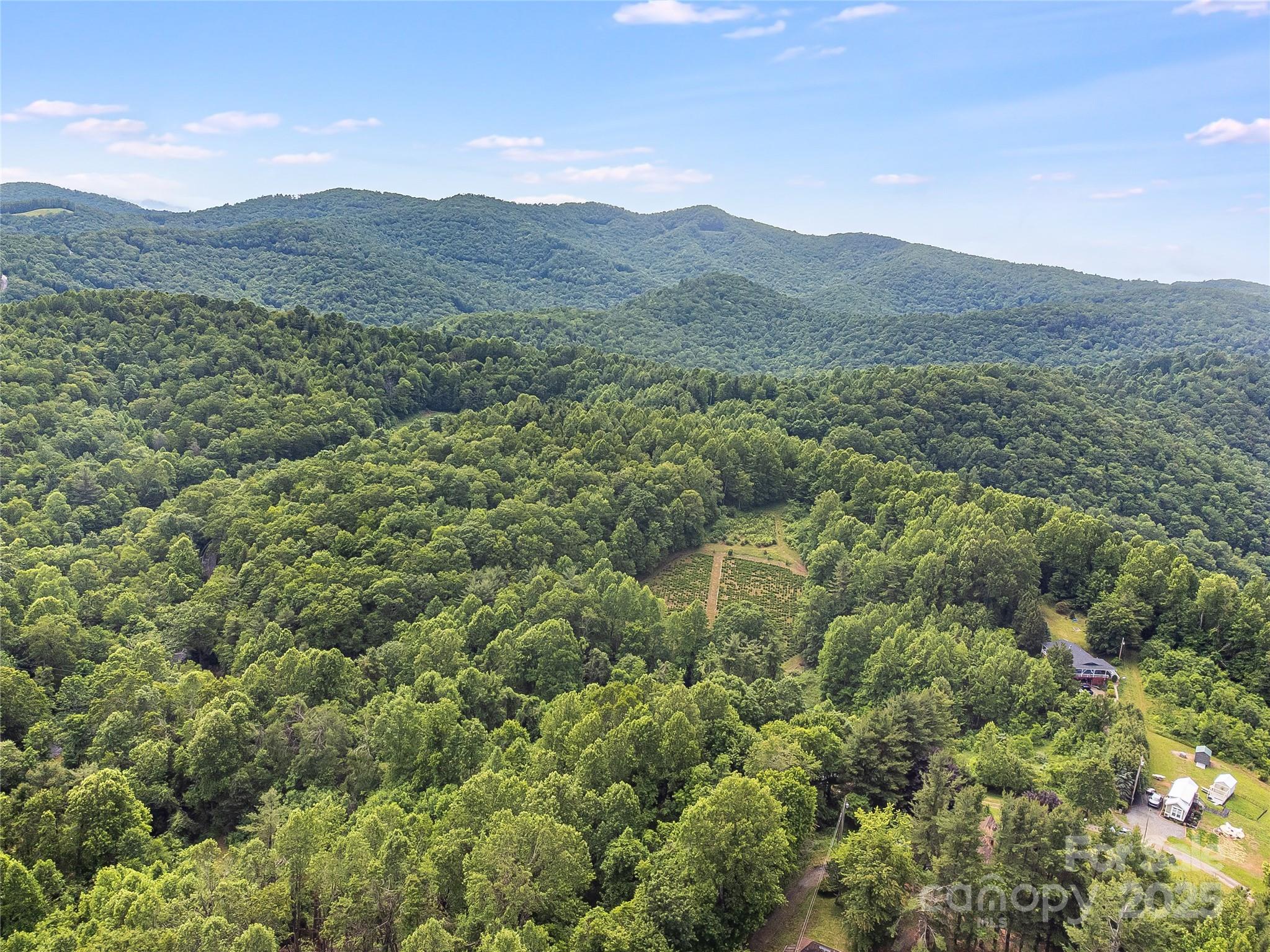 Tbd Finch Lane Burnsville NC 28714