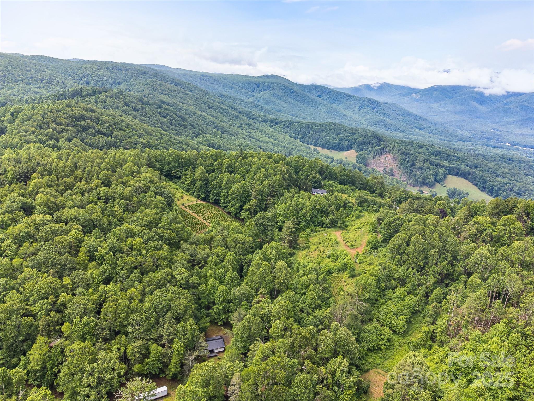 Tbd Finch Lane Burnsville NC 28714