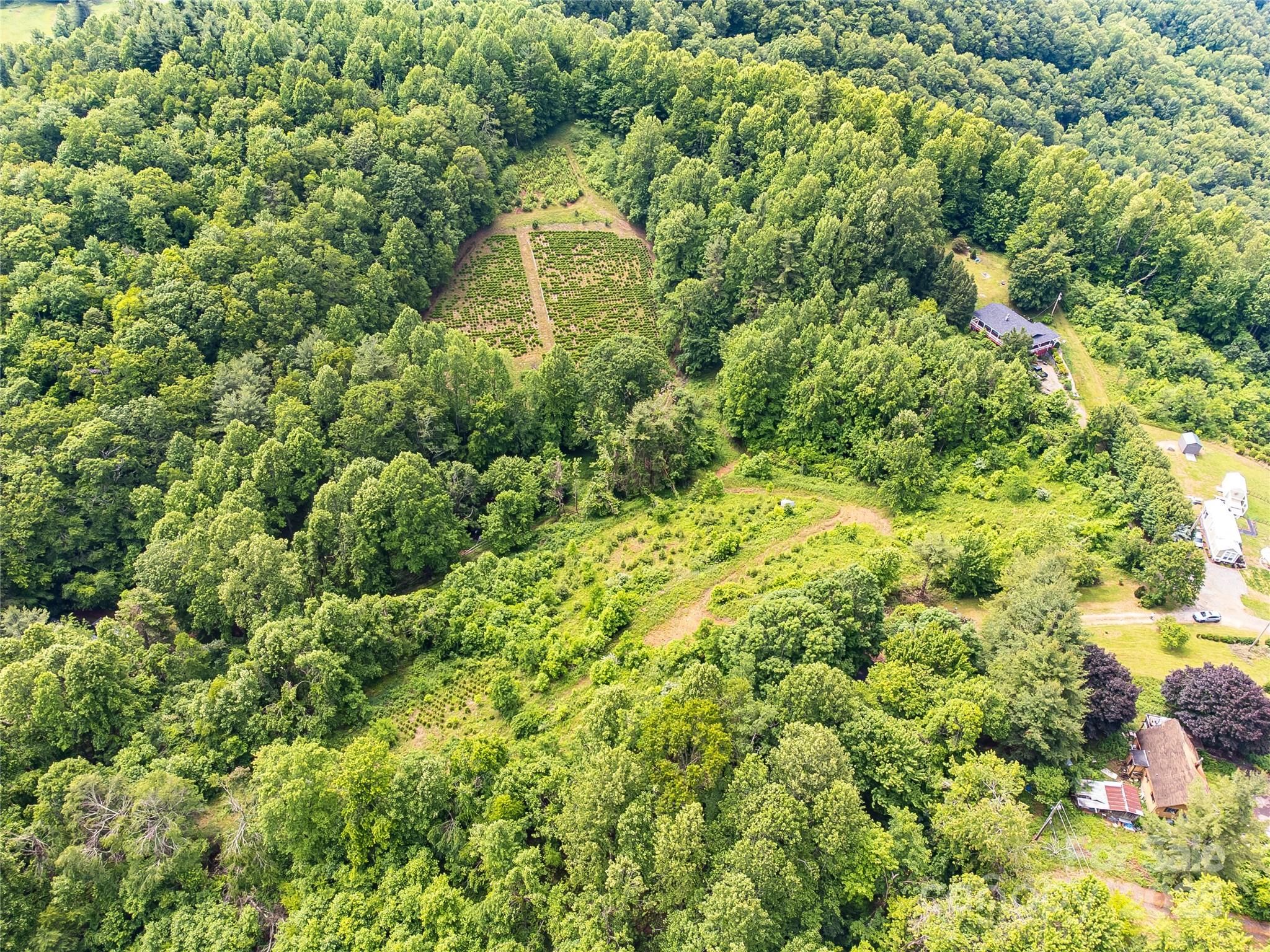 Tbd Finch Lane Burnsville NC 28714