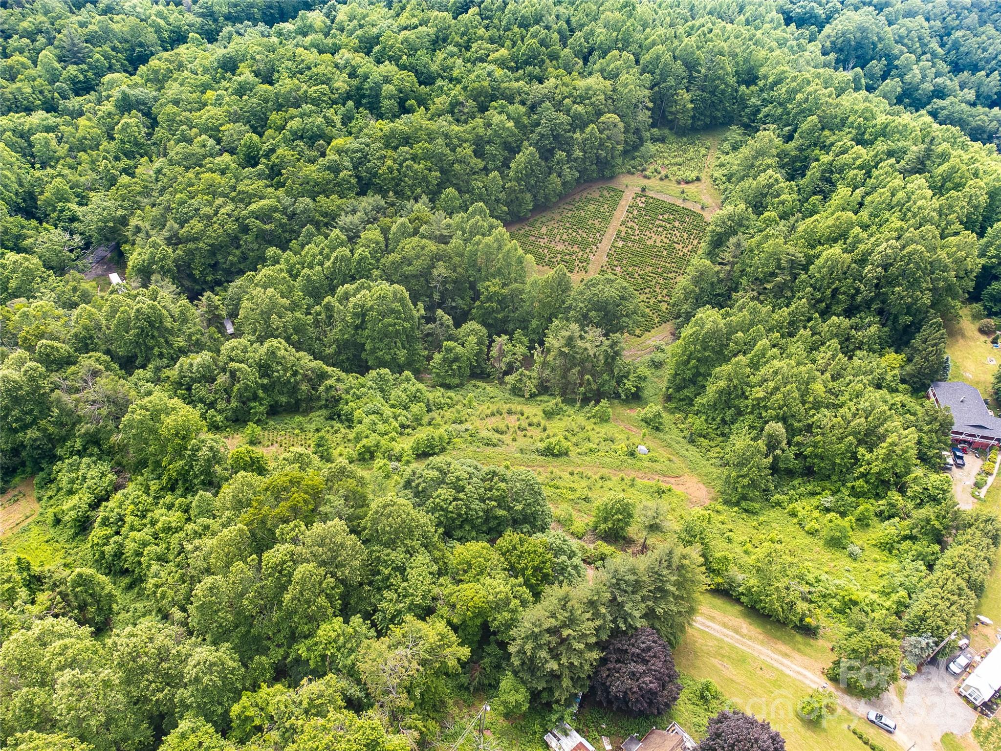 Tbd Finch Lane Burnsville NC 28714