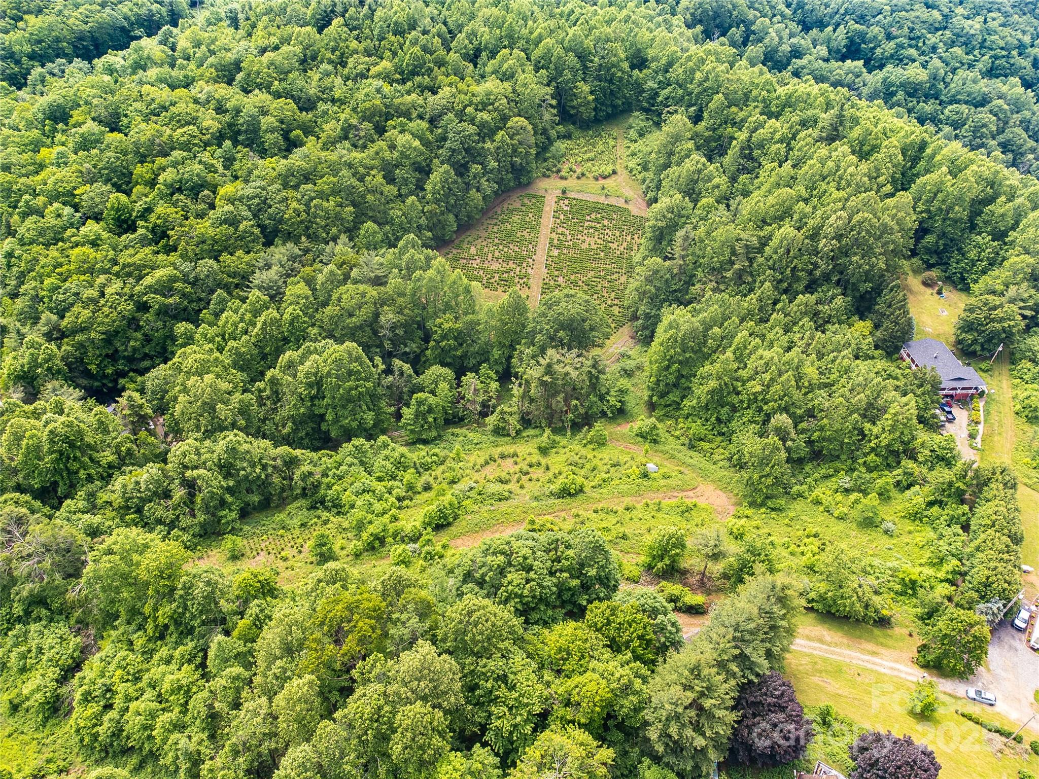 Tbd Finch Lane Burnsville NC 28714