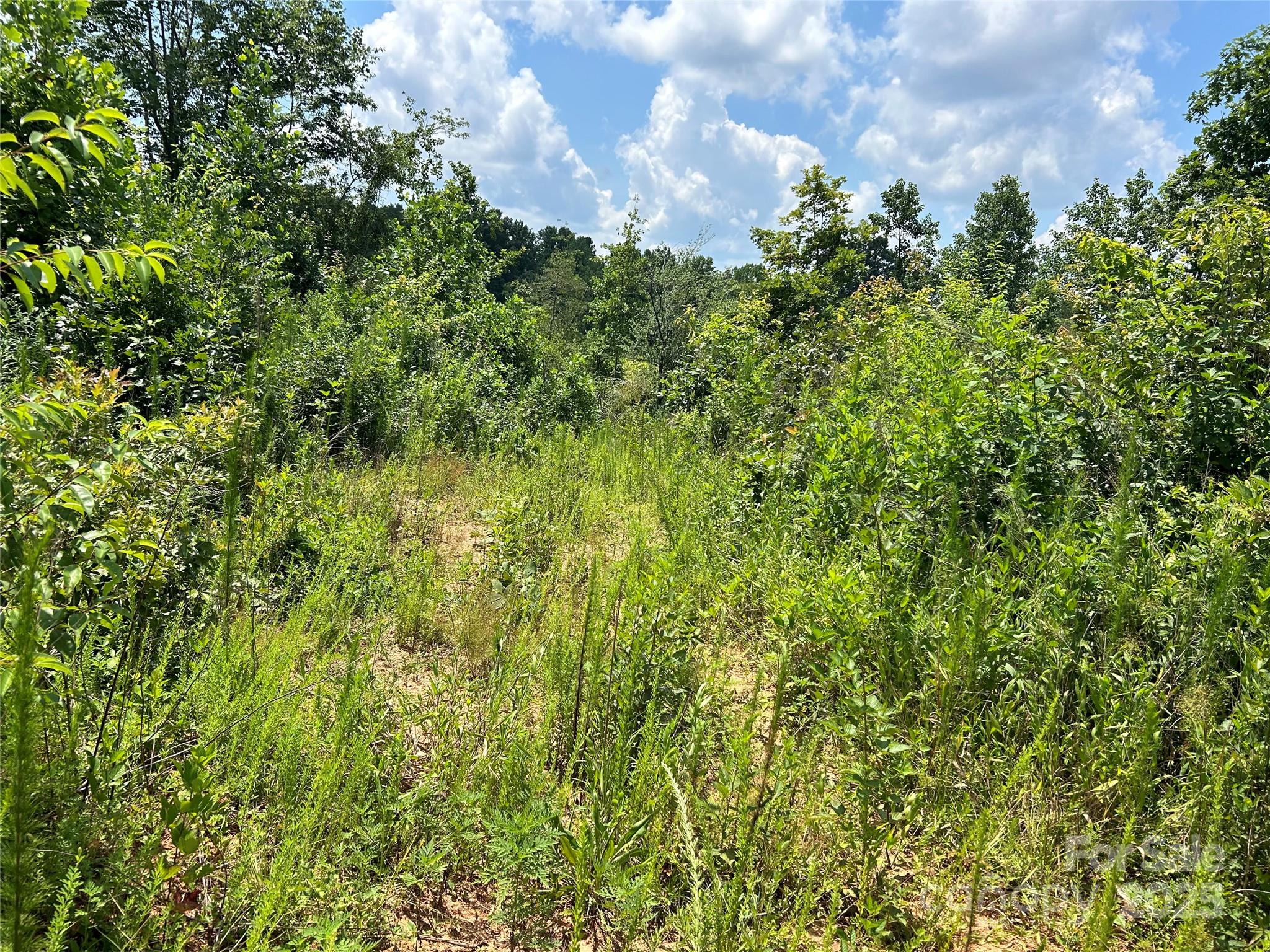 1824 Brushy Creek Road Kingstown NC 28150