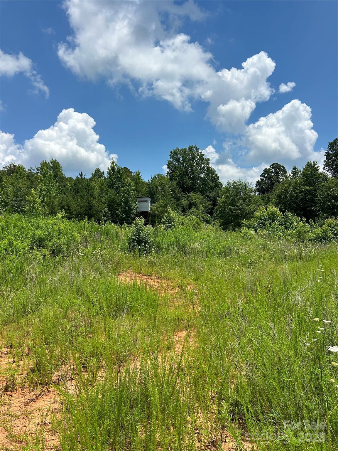 1824 Brushy Creek Road Kingstown NC 28150