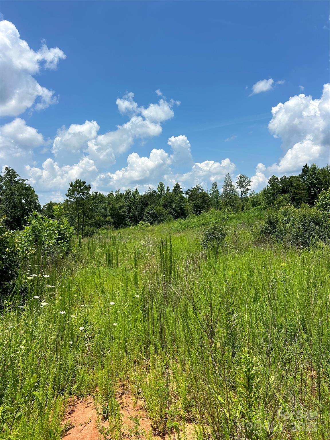 1824 Brushy Creek Road Kingstown NC 28150