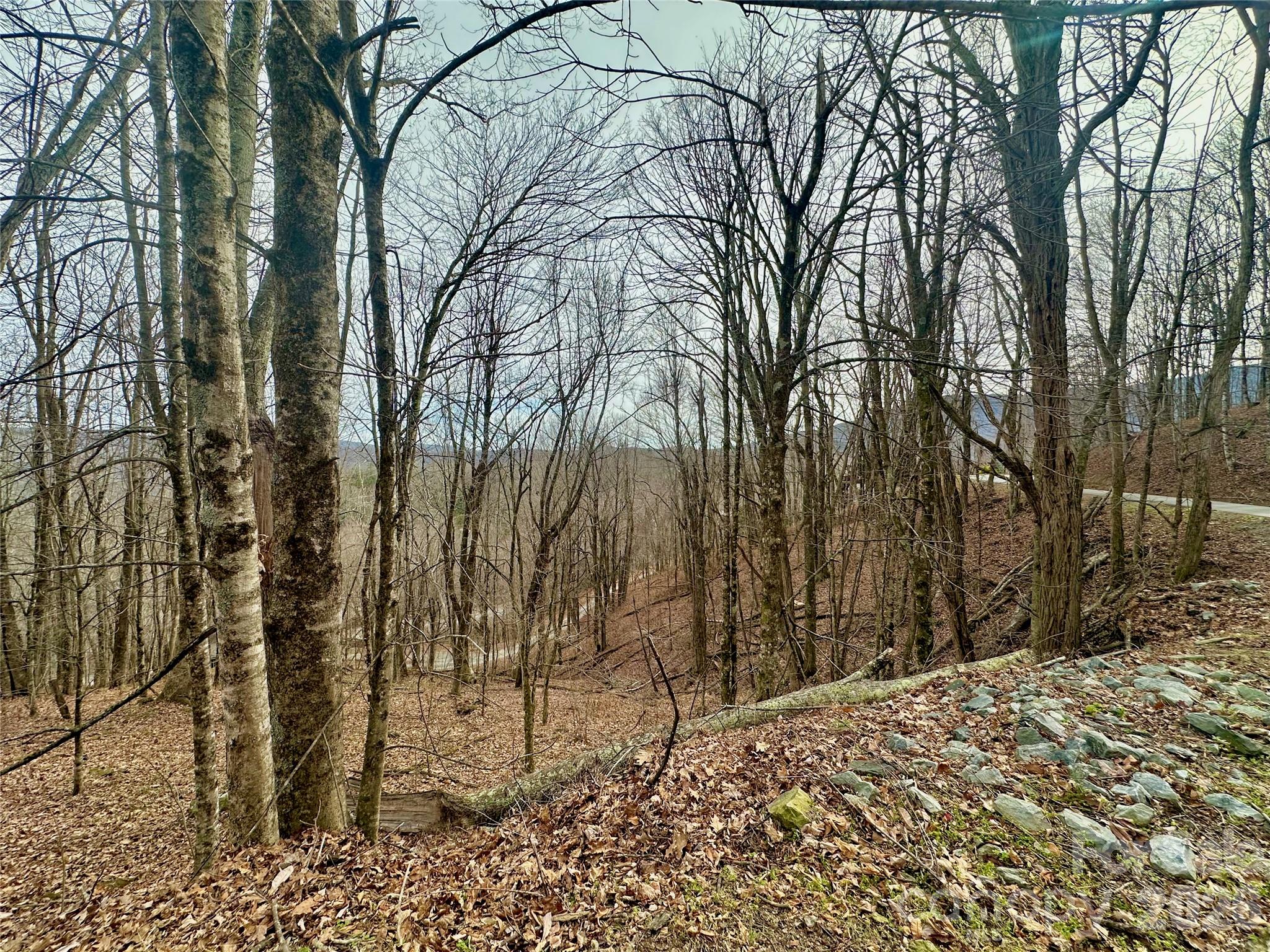 Tbd Alpine Drive Seven Devils NC 28604