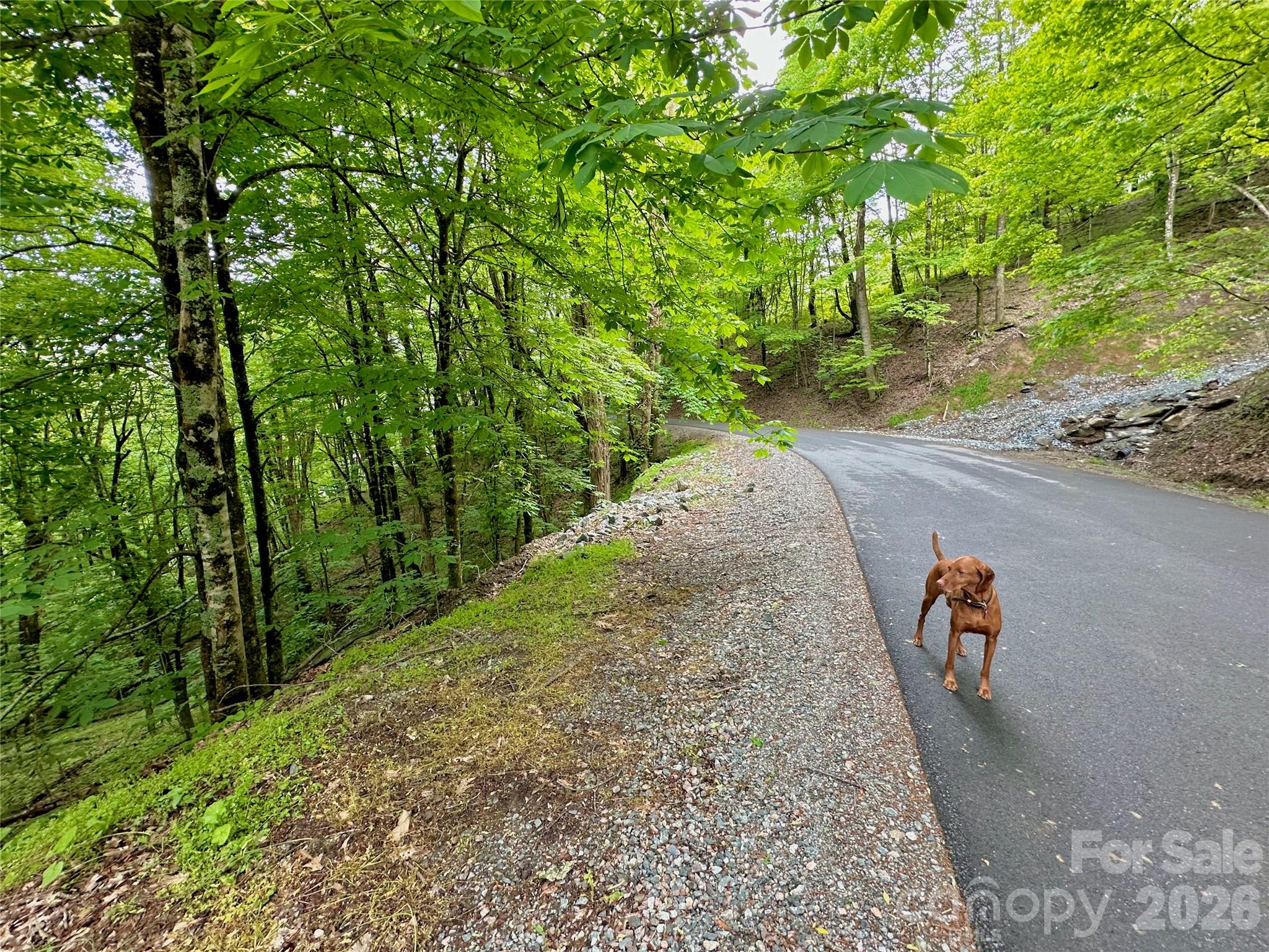Tbd Alpine Drive Seven Devils NC 28604