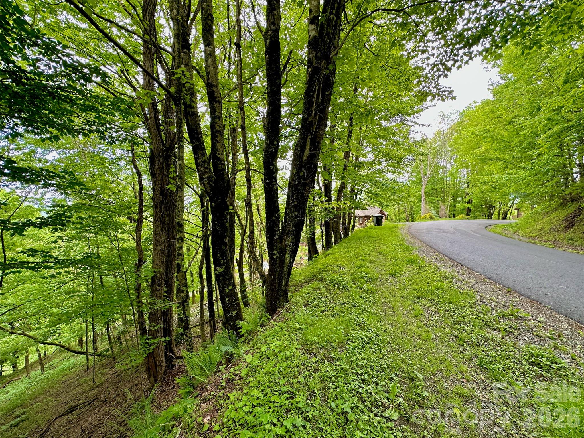 Tbd Alpine Drive Seven Devils NC 28604
