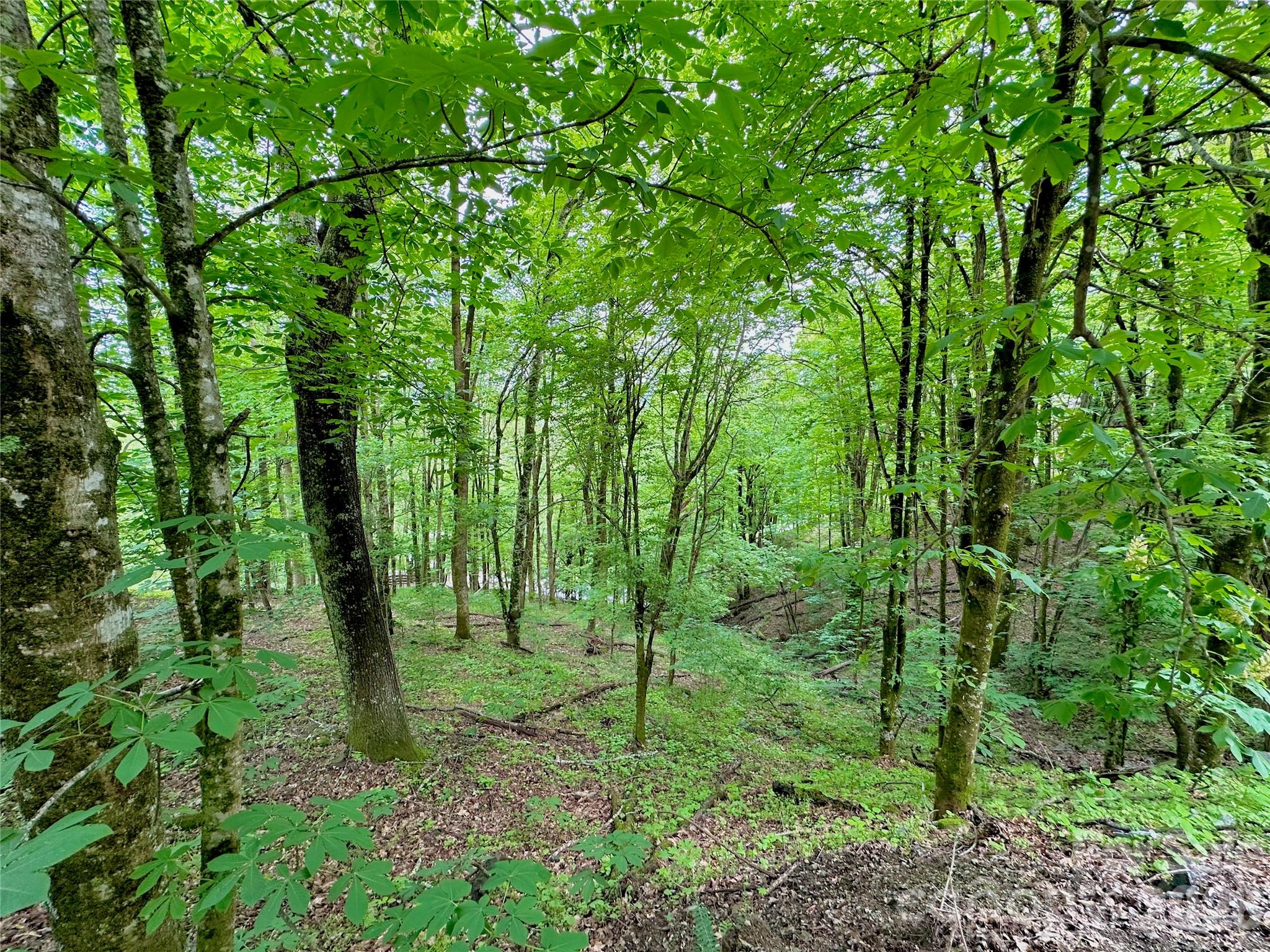 Tbd Alpine Drive Seven Devils NC 28604