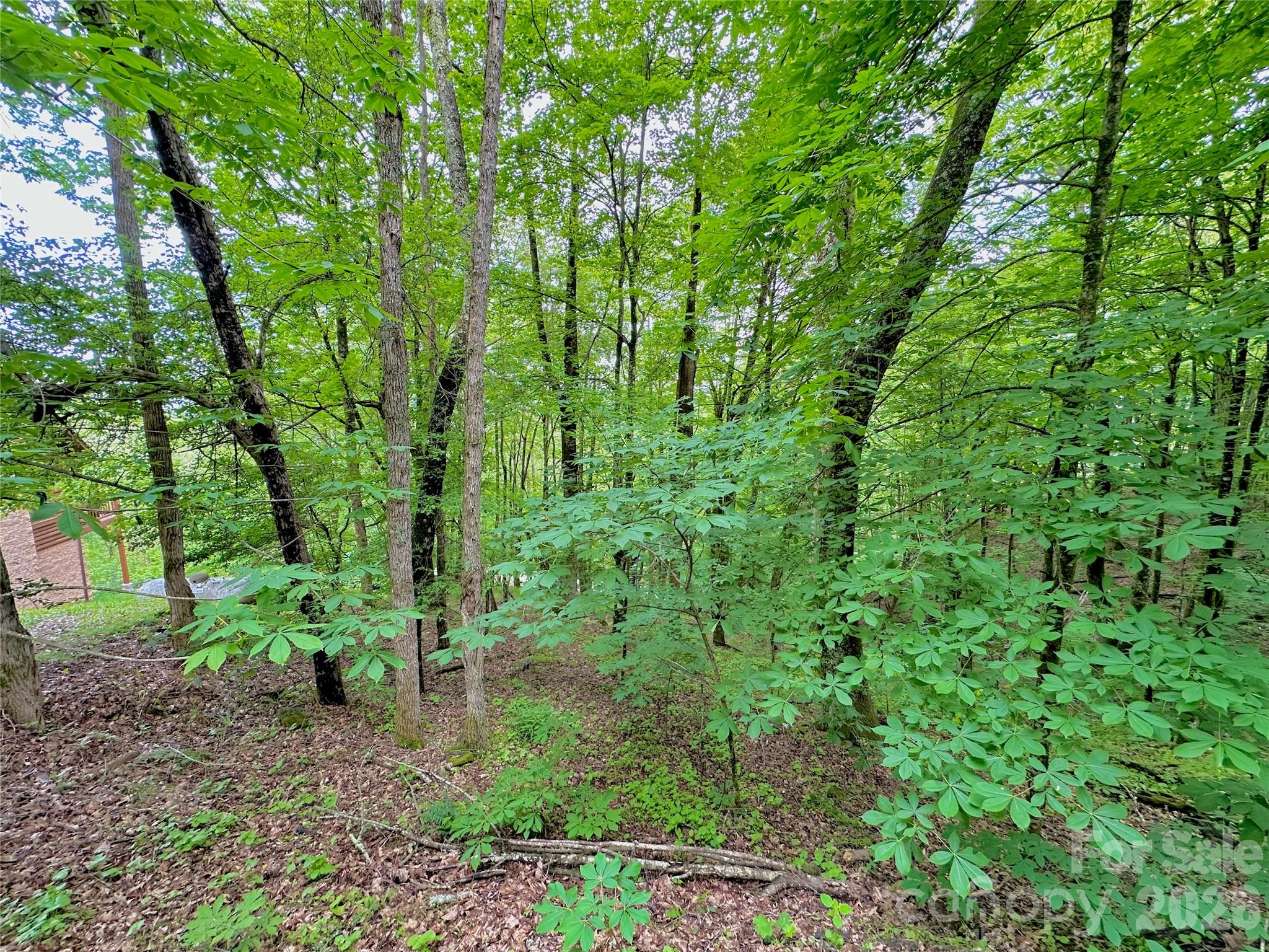 Tbd Alpine Drive Seven Devils NC 28604