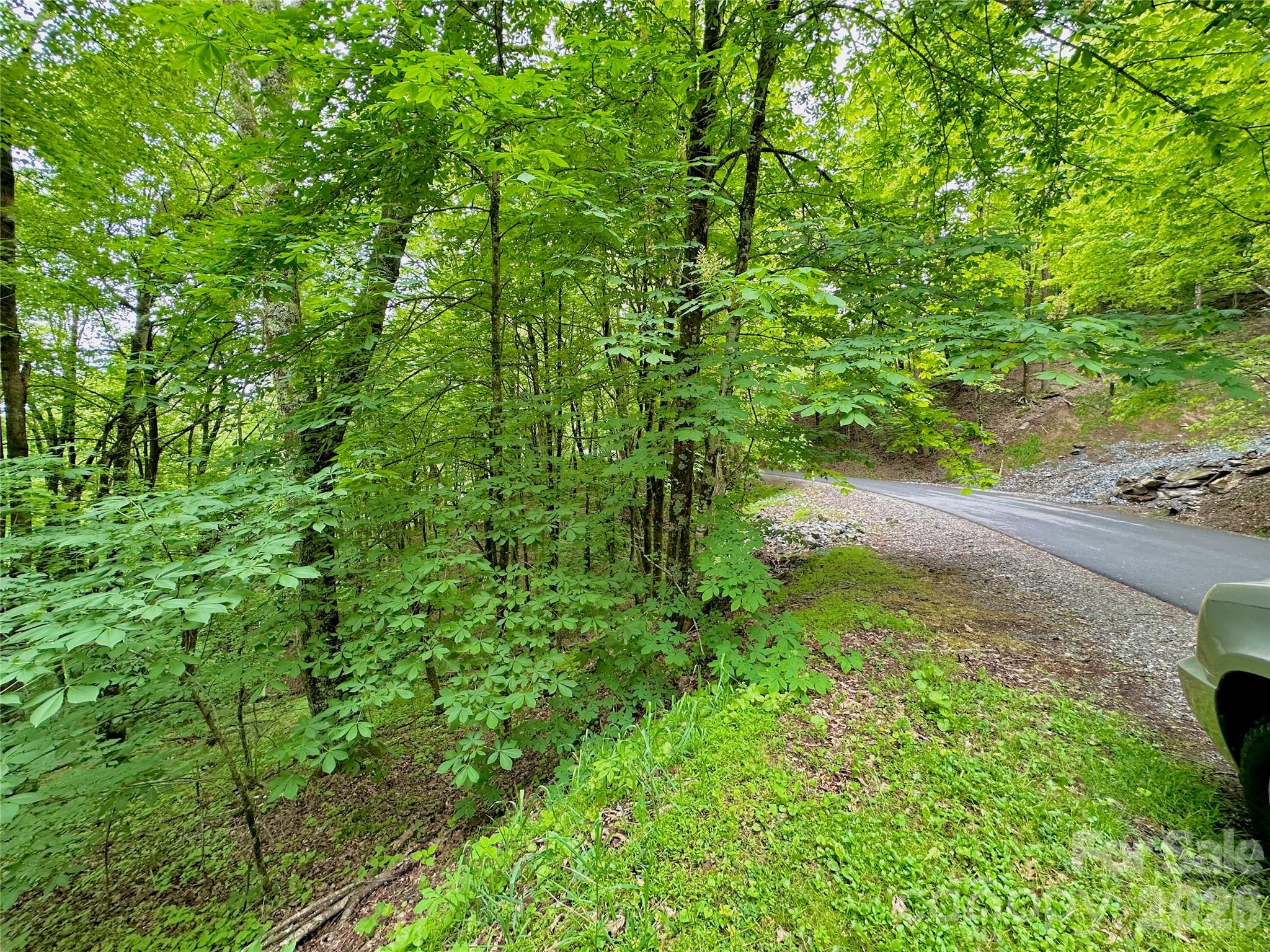 Tbd Alpine Drive Seven Devils NC 28604