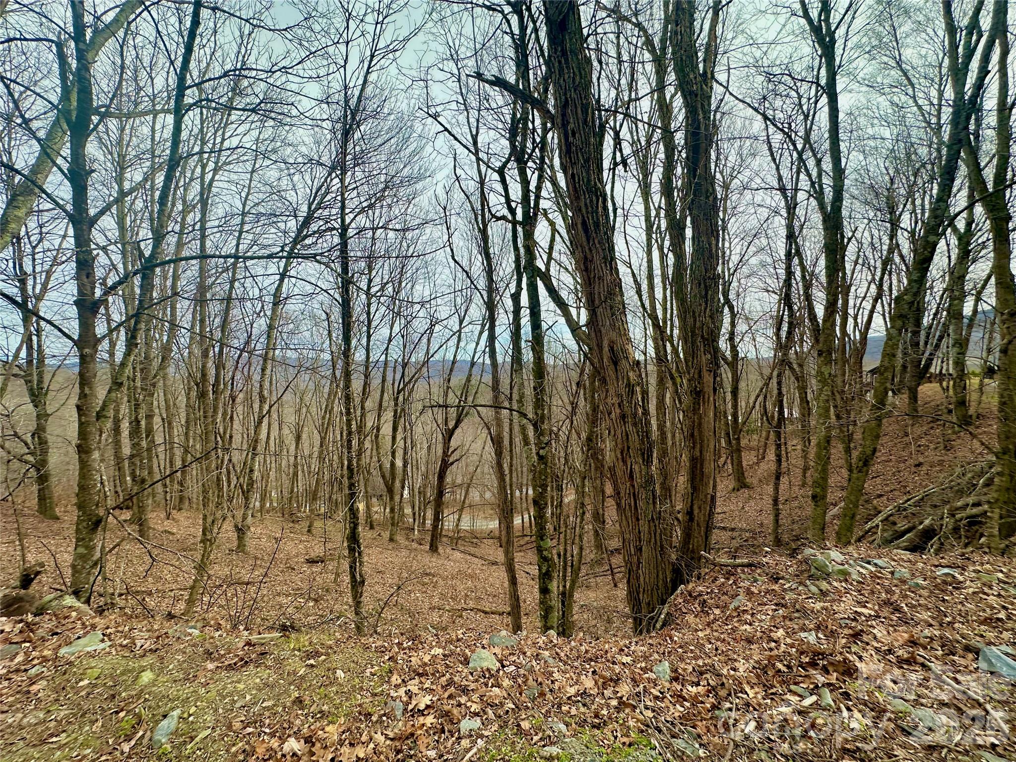 Tbd Alpine Drive Seven Devils NC 28604